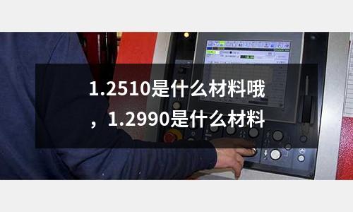 1.2510是什么材料哦，1.2990是什么材料