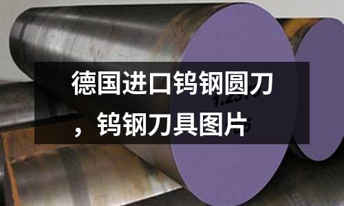 德國進(jìn)口鎢鋼圓刀，鎢鋼刀具圖片