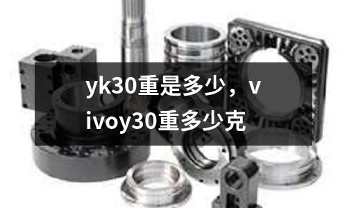 yk30重是多少，vivoy30重多少克