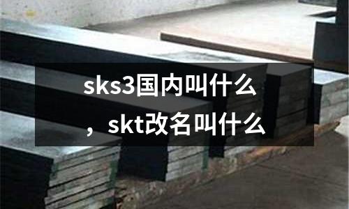 sks3國內叫什么，skt改名叫什么