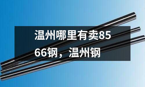 溫州哪里有賣8566鋼，溫州鋼