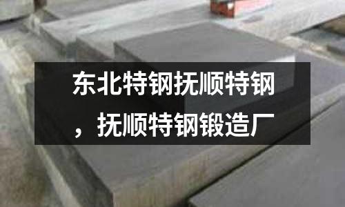 東北特鋼撫順特鋼，撫順特鋼鍛造廠