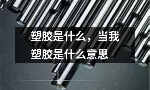 塑膠是什么，當我塑膠是什么意思