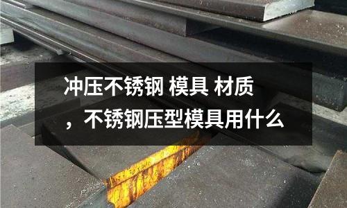 沖壓不銹鋼 模具 材質,不銹鋼壓型模具用什么