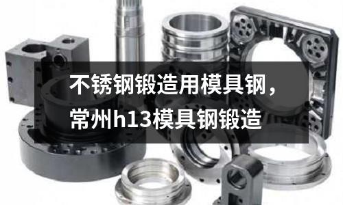 不銹鋼鍛造用模具鋼，常州h13模具鋼鍛造
