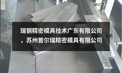 瑞鋼精密模具技術廣東有限公司，蘇州普爾瑞精密模具有限公司