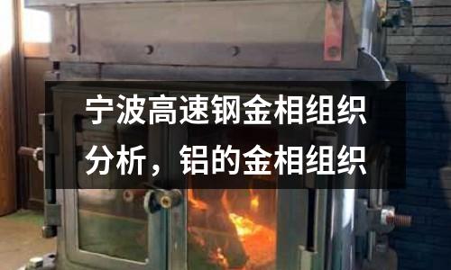 寧波高速鋼金相組織分析,鋁的金相組織