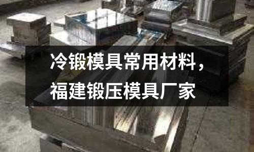 冷鍛模具常用材料,福建鍛壓模具廠家