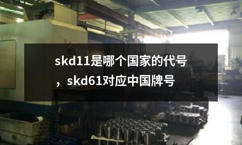 skd11是哪個國家的代號，skd61對應中國牌號