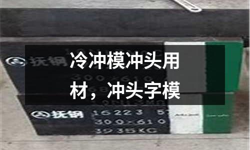 冷沖模沖頭用材，沖頭字模