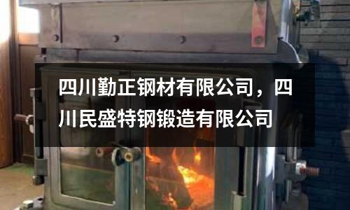 四川勤正鋼材有限公司,四川民盛特鋼鍛造有限公司