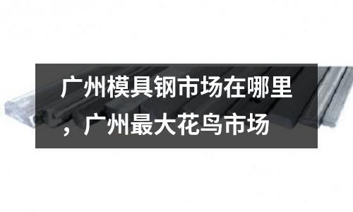 廣州模具鋼市場在哪里，廣州最大花鳥市場