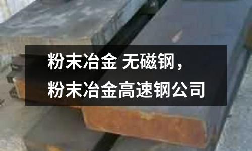 粉末冶金 無磁鋼，粉末冶金高速鋼公司