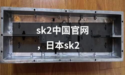 sk2中國官網，日本sk2