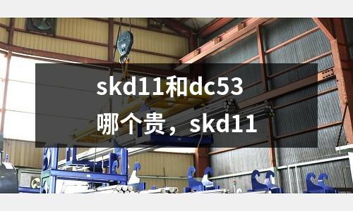 skd11和dc53哪個貴，skd11