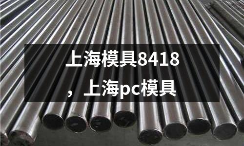 上海模具8418，上海pc模具