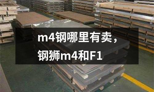 m4鋼哪里有賣,鋼獅m4和F1