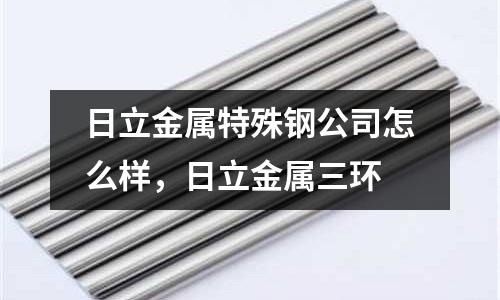 日立金屬特殊鋼公司怎么樣,日立金屬三環(huán)