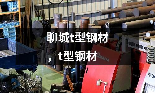 聊城t型鋼材,t型鋼材