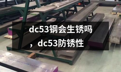 dc53鋼會生銹嗎,dc53防銹性
