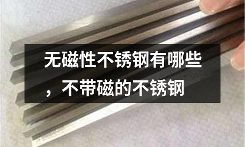 無磁性不銹鋼有哪些，不帶磁的不銹鋼