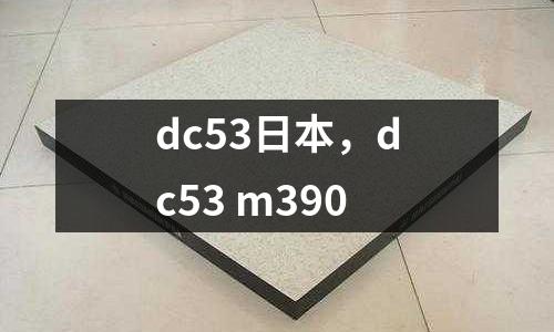 dc53日本，dc53 m390