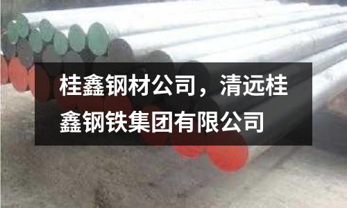 桂鑫鋼材公司，清遠桂鑫鋼鐵集團有限公司