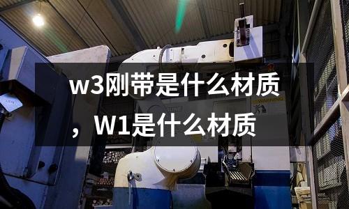 w3剛帶是什么材質,W1是什么材質