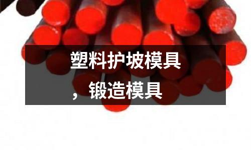 塑料護坡模具,鍛造模具