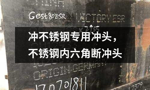 沖不銹鋼專用沖頭，不銹鋼內六角斷沖頭