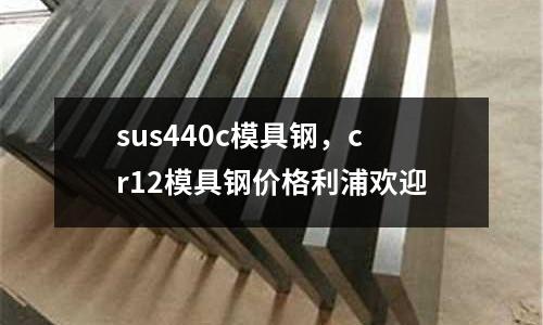 sus440c模具鋼,cr12模具鋼價格利浦歡迎