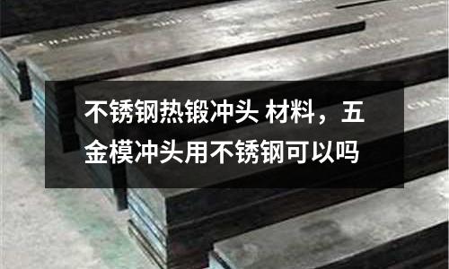 不銹鋼熱鍛沖頭 材料，五金模沖頭用不銹鋼可以嗎