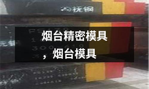 煙臺精密模具，煙臺模具
