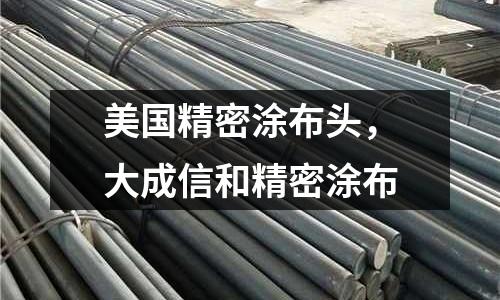 美國精密涂布頭，大成信和精密涂布