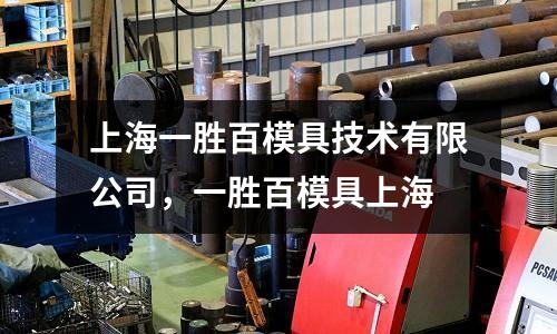 上海一勝百模具技術有限公司，一勝百模具上海