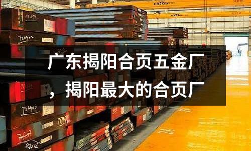廣東揭陽合頁五金廠，揭陽最大的合頁廠