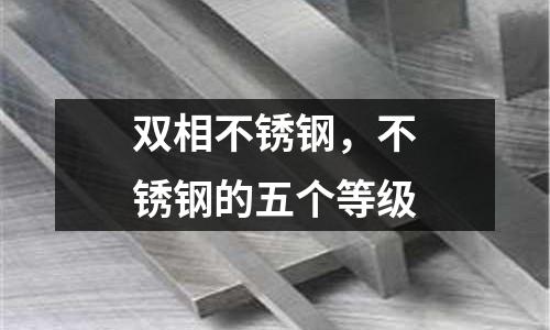 雙相不銹鋼，不銹鋼的五個等級