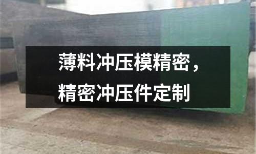 薄料沖壓模精密，精密沖壓件定制