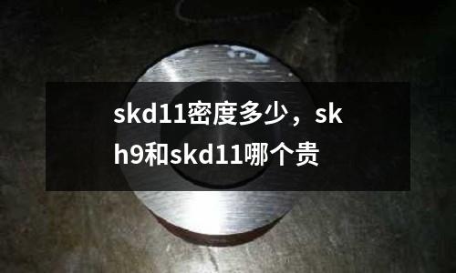 skd11密度多少,skh9和skd11哪個貴