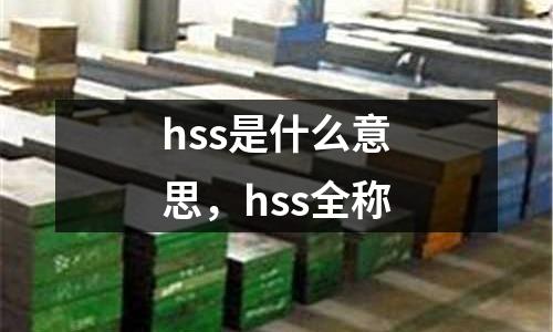 hss是什么意思，hss全稱