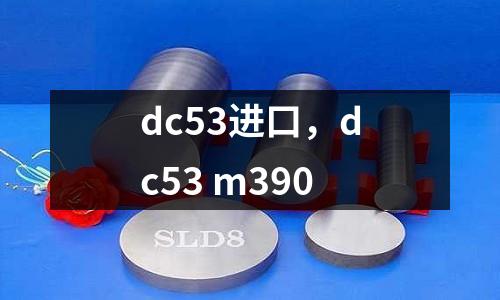 dc53進(jìn)口,dc53 m390