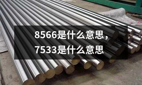 8566是什么意思，7533是什么意思