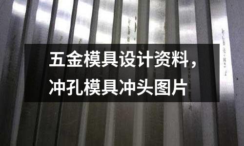 五金模具設計資料，沖孔模具沖頭圖片