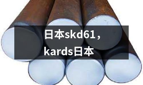 日本skd61，kards日本