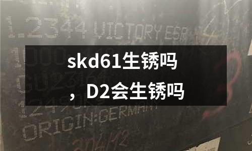 skd61生銹嗎，D2會生銹嗎