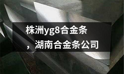 株洲yg8合金條,湖南合金條公司