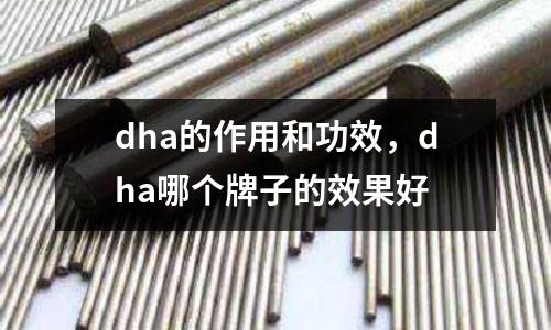 dha的作用和功效，dha哪個牌子的效果好