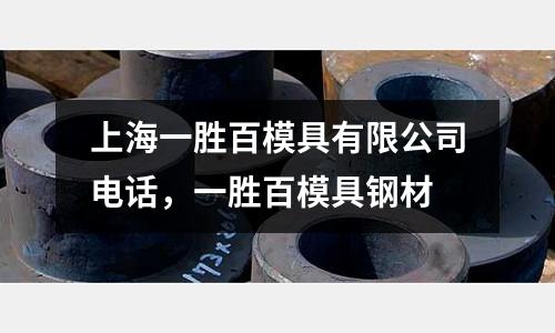 上海一勝百模具有限公司電話，一勝百模具鋼材