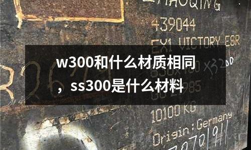 w300和什么材質相同，ss300是什么材料