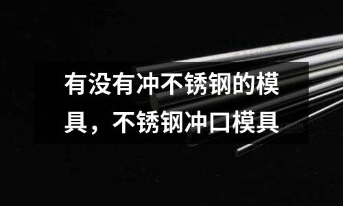 有沒有沖不銹鋼的模具，不銹鋼沖口模具